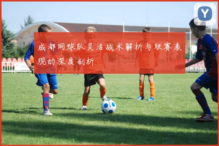 成都网球队灵活战术解析与联赛表现的深度剖析