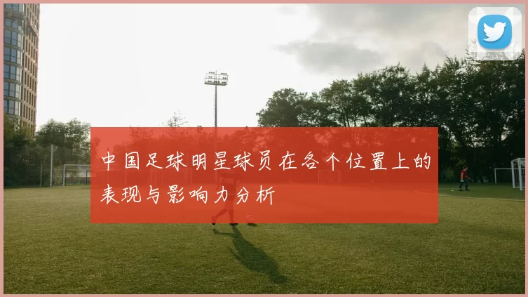 中国足球明星球员在各个位置上的表现与影响力分析