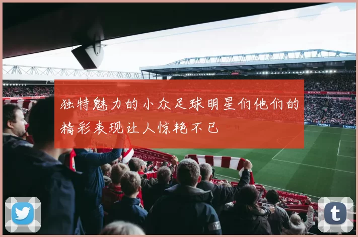 独特魅力的小众足球明星们他们的精彩表现让人惊艳不已