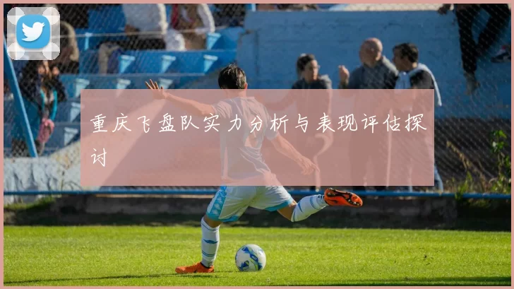 重庆飞盘队实力分析与表现评估探讨