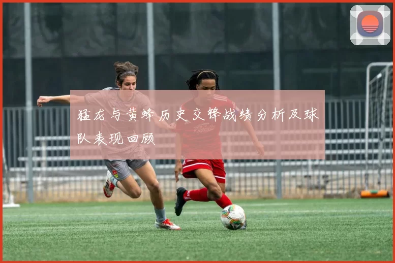 猛龙与黄蜂历史交锋战绩分析及球队表现回顾
