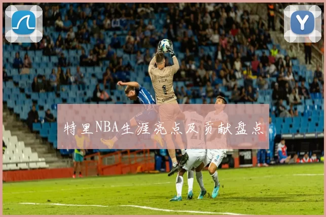 特里NBA生涯亮点及贡献盘点