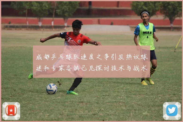 成都乒乓球队速度之争引发热议球迷和专家各执己见探讨技术与战术