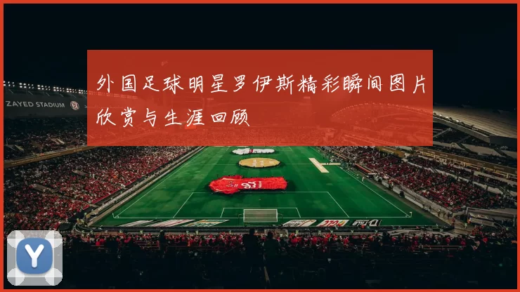 外国足球明星罗伊斯精彩瞬间图片欣赏与生涯回顾