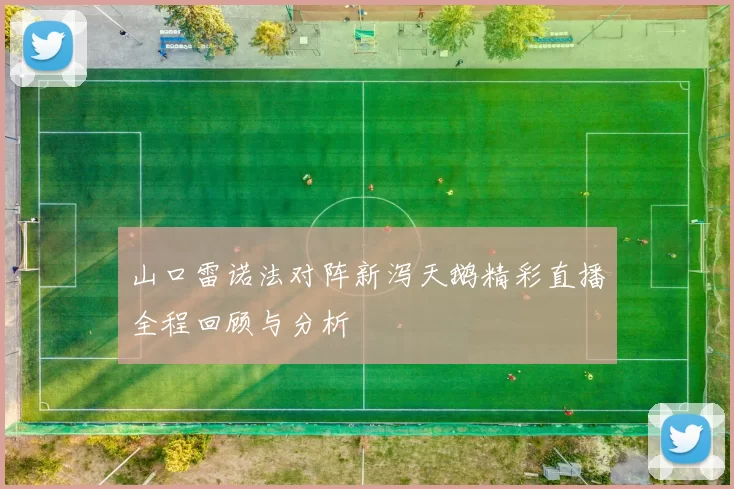山口雷诺法对阵新泻天鹅精彩直播全程回顾与分析