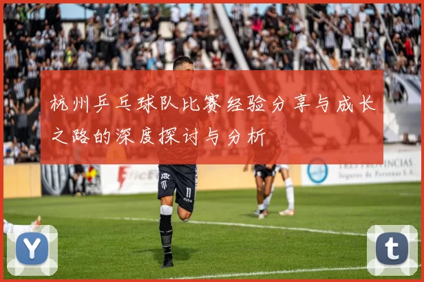 杭州乒乓球队比赛经验分享与成长之路的深度探讨与分析
