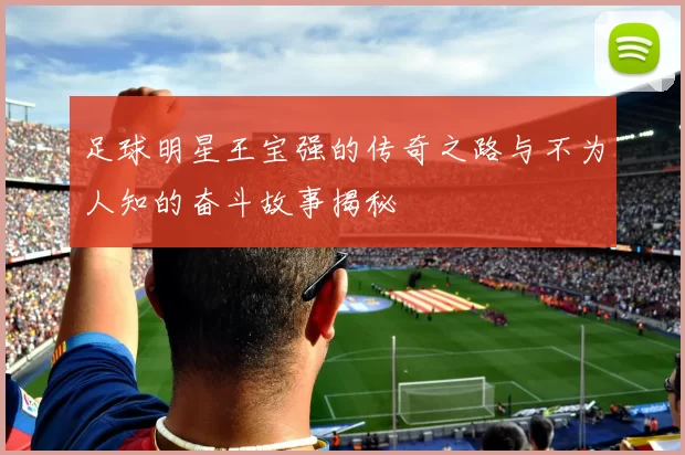 足球明星王宝强的传奇之路与不为人知的奋斗故事揭秘