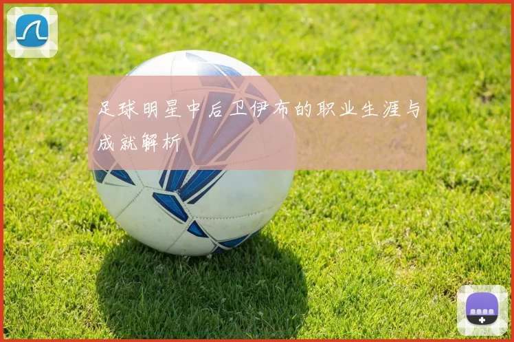 足球明星中后卫伊布的职业生涯与成就解析