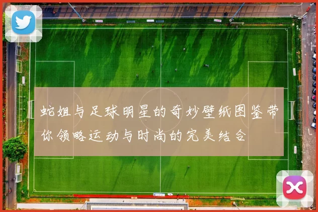 蛇姐与足球明星的奇妙壁纸图鉴带你领略运动与时尚的完美结合