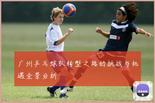 广州乒乓球队转型之路的挑战与机遇全景分析