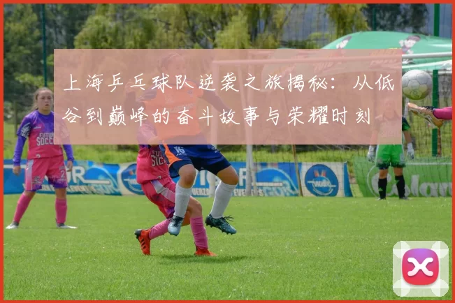上海乒乓球队逆袭之旅揭秘：从低谷到巅峰的奋斗故事与荣耀时刻