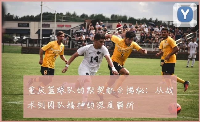 重庆篮球队的默契配合揭秘：从战术到团队精神的深度解析