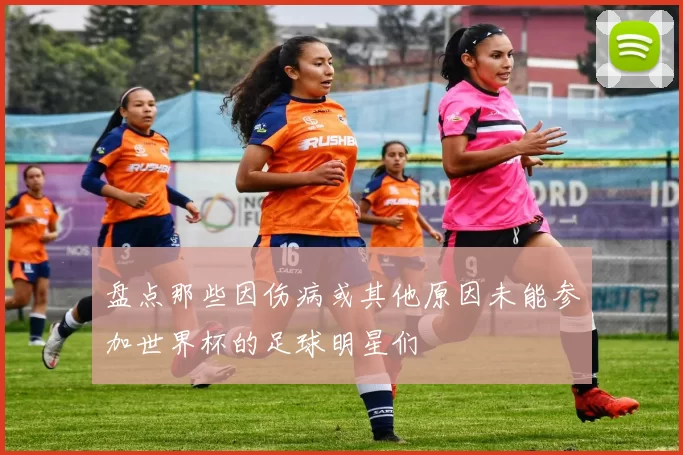 盘点那些因伤病或其他原因未能参加世界杯的足球明星们