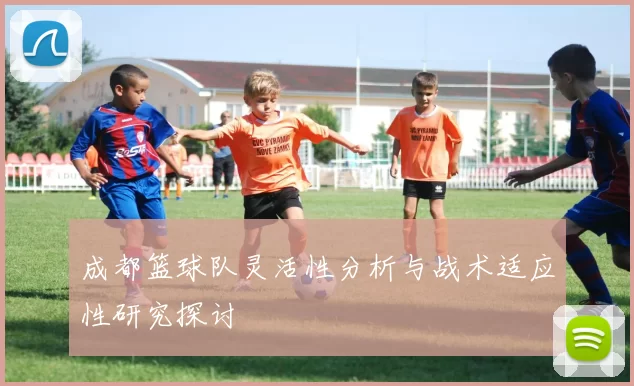 成都篮球队灵活性分析与战术适应性研究探讨