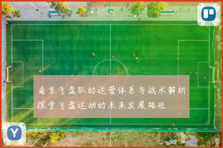 南京飞盘队的运营体系与战术解析探索飞盘运动的未来发展路径